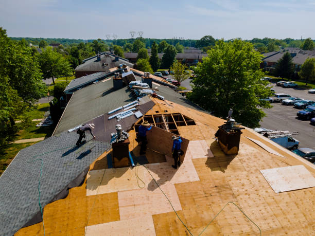 Roof Gutter Cleaning in North Barrington, IL